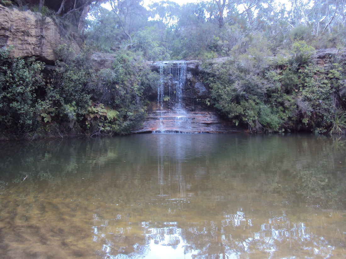 The pool