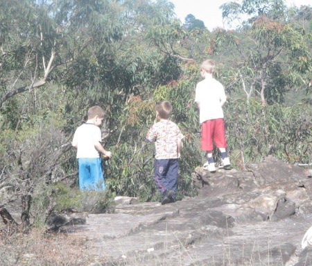 at the lookout